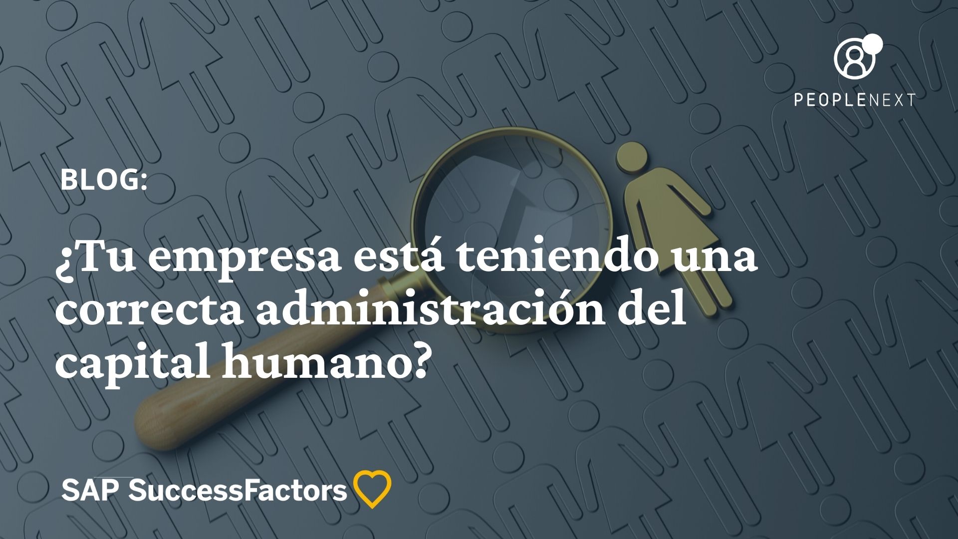 administración del capital humano